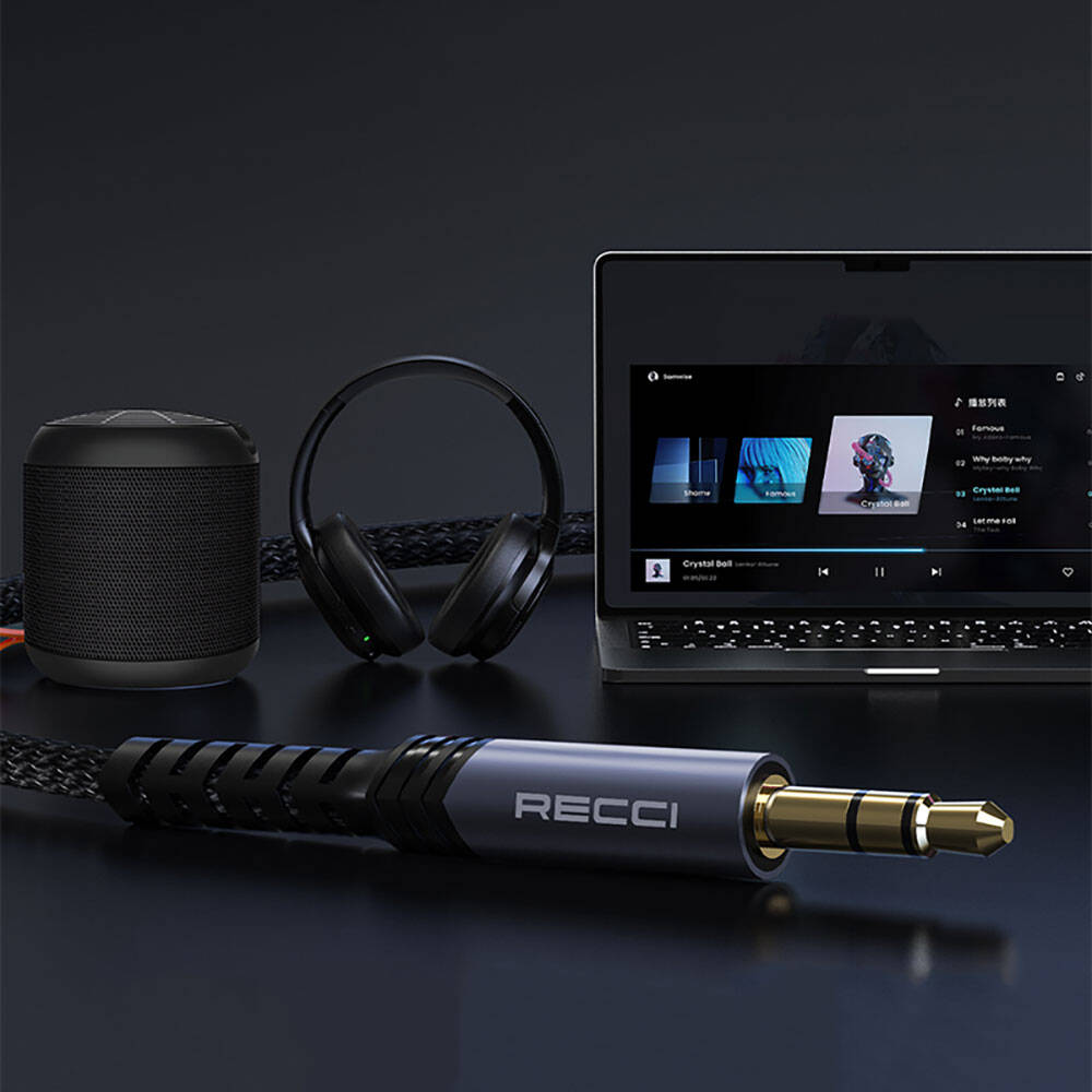 Recci RDS-A28 3.5mm to 3.5mm AUX Audio Kablo Gri